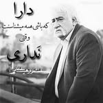 Adel.gasmi - @adel.gasmi6 - Instagram