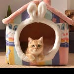 Adel Gholami - @shahre.petshop.iran - Instagram