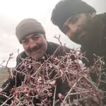 Adel Gholami - @gholami621015 - Instagram