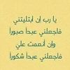 Adel Goda - @adel.goda94 - TikTok