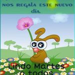 Adel Gonzalez - @adelgonzalez5178 - Instagram