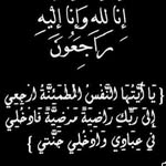 Adel Goda - @adelgouda13 - Instagram