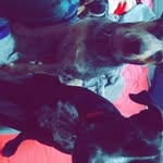 Adel Gøuda - @goudadel - Instagram