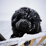 Аделина Прелестная - @adelgreen23 - Instagram