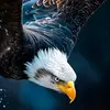 Adel moussa - @adel.moussa0 - TikTok