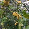 Adel Moussa - @.adel.moussa - TikTok