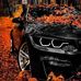 Adel Saad - Facebook