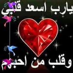 Adel Saad - @adel_saad11 - Instagram