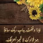 Adel Wahba - @adel.wahba.94801 - Instagram