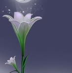 Adel Wahba - Facebook