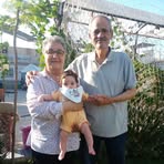 Adel Wahba - Facebook