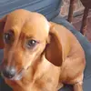 Adela Barrera - @adela.barrera60 - TikTok