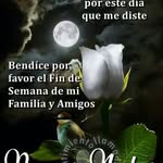 adela becerra - @becerra.adela - Instagram