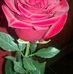 Adela Becerra - Facebook