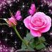 Adela Berumen Cortes - Facebook