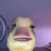 adelaideblair561 - @adelaideblair561 - TikTok