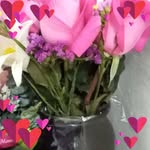 Adela Bolaños - @adelasantam - Instagram
