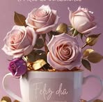Adela Bolaños Alfaro - Facebook