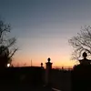 Adela Bondarenco - @adelabondarenco0 - TikTok
