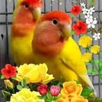 Adela Bravo - Facebook