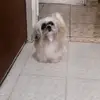 Adela Bravo 🌸 - @adela.bravo03 - TikTok