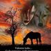 Bucio Adela - Facebook