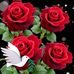 Adela Cadena - Facebook
