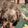 Adela Campos - @adela.campos43 - TikTok
