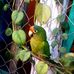 Adela Cantu - Facebook