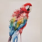 M Adela Carranza Guillermo - @adelacarranzag - Instagram