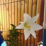 Adela Espinoza Cerda - @espinozacerda - Instagram