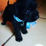 Adela Cobos Mar - @adela_cobos - Instagram