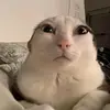 AdelaCobos - @arnosriotn4 - TikTok