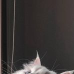 Adella Kaka - Facebook
