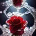 Adela Costa - Facebook