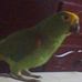 Adela Coyantes - Facebook