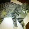 Adela Crespo - @adela.crespo42 - TikTok