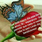 adela cuevas - @adelacuevas720 - Instagram