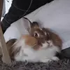 Adela Święcka - @adela.wicka3 - TikTok