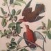 Adela Drews - Facebook