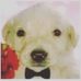Adela Eugenio Parra - Facebook