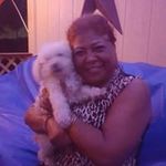 Adela Gamboa - @adela.gamboa.127 - Instagram