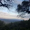 adela.garrett - @adela.garrett - TikTok