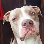 Adela Gomes - Facebook