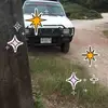 Adela Gomes - @adela.gomes58 - TikTok