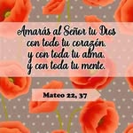adelagomes - @adelagomes2 - Instagram