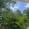 Adela Gomez - @adela.gomez7 - TikTok