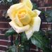 Adela Good - Facebook