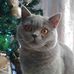 Adela Grace - Facebook