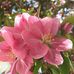 Adela Grace - Facebook